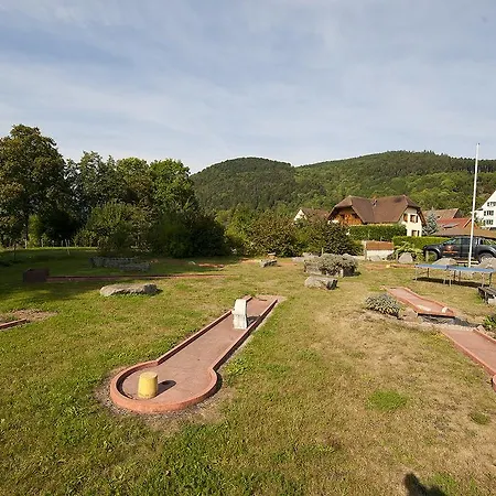 Hotel Aux Deux Clefs Metzeral